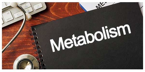 What Can You Do to Improve Your Metabolism Near Me in Gaithersburg MD, Takoma Park MD, and Rockville, MD What Can You Do to Improve Your Metabolism Near Me in Gaithersburg MD, Takoma Park MD, and Rockville, MD